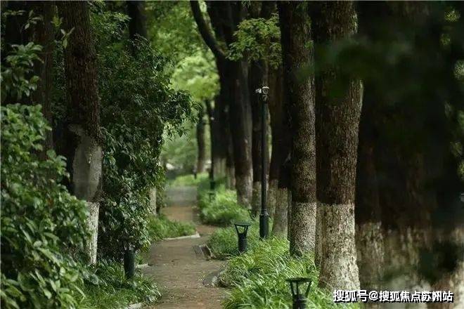 5房价_楼盘评测丨地址丨详情丨售楼处电话丨 交房时间中鹰·黑森林(中鹰·黑森林售楼处)首页网站-202(图3)