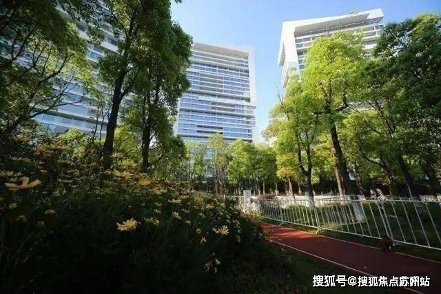 5房价_楼盘评测丨地址丨详情丨售楼处电话丨 交房时间中鹰·黑森林(中鹰·黑森林售楼处)首页网站-202(图12)