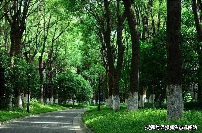 5房价_楼盘评测丨地址丨详情丨售楼处电话丨 交房时间中鹰·黑森林(中鹰·黑森林售楼处)首页网站-202(图22)